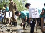 Pemda Ende Bersama PLTU Ropa dan Masyarakat Uludala, Tanam 1000 Mangrove